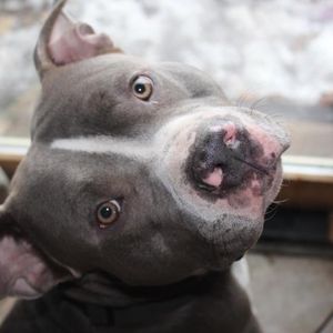 Meet your Posher, Brenden